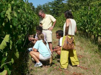 Wine tasting near Panzano in Chianti