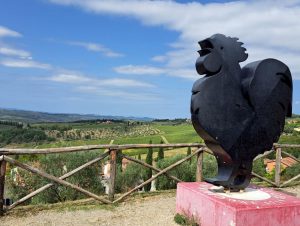 Chianti Classico Wine Region